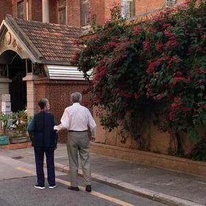 黑森林福利视频导航
