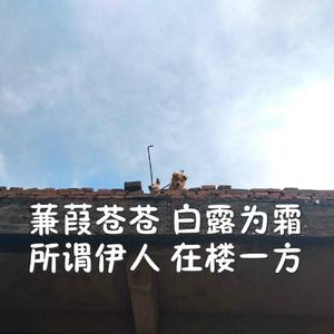 黑森林福利视频导航
